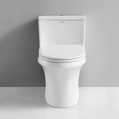 Compact One Piece Toilets Dual Flush 0.8gpf Elongated Bowl 5 Liters