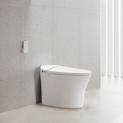 Automatic Flush One Piece Smart Toilet Seat Heating 690x410x470mm